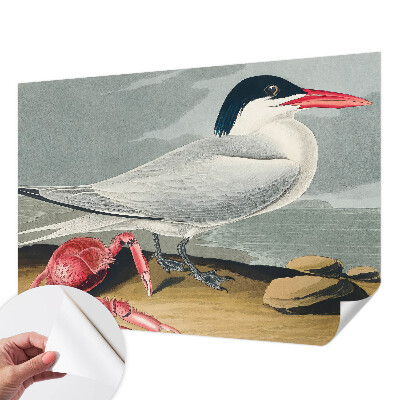 92D-Fototapete fürs Wohnzimmer Meereslandschaft