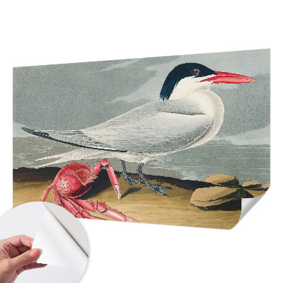 92D-Fototapete fürs Wohnzimmer Meereslandschaft