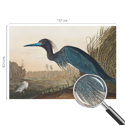 Selbstklebende Fototapete fürs Kinderzimmer Wasservögel