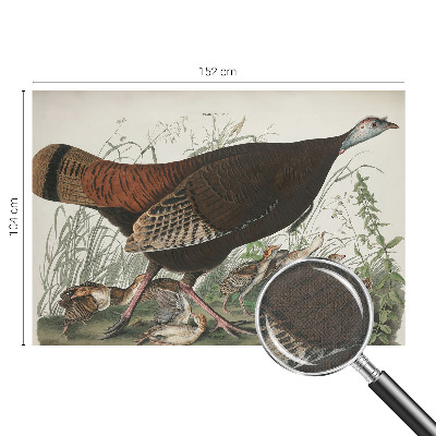 Fototapete in 3D-Optik Natürliche Harmonie