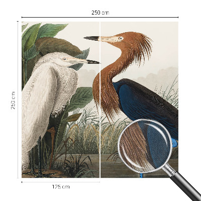 Fototapete nach Maß Vögel in Pflanzen