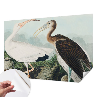 92D-Fototapete fürs Schlafzimmer mit einem Vogelpaar als Motiv