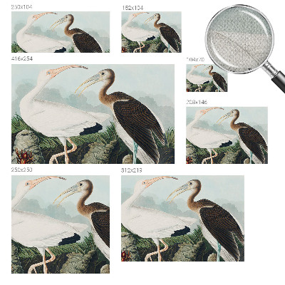 92D-Fototapete fürs Schlafzimmer mit einem Vogelpaar als Motiv