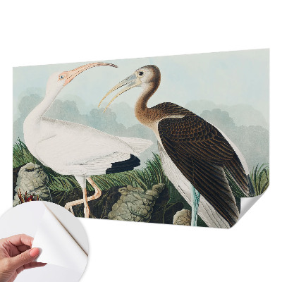 92D-Fototapete fürs Schlafzimmer mit einem Vogelpaar als Motiv