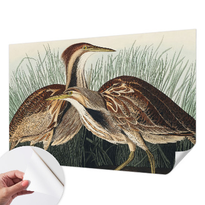 Moderne Fototapete nach Maß mit realistischen Vogelmotiven