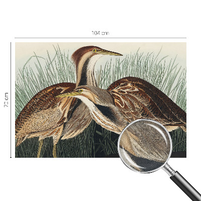 Moderne Fototapete nach Maß mit realistischen Vogelmotiven