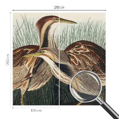 Moderne Fototapete nach Maß mit realistischen Vogelmotiven