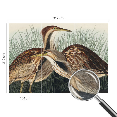 Moderne Fototapete nach Maß mit realistischen Vogelmotiven
