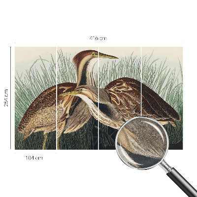 Moderne Fototapete nach Maß mit realistischen Vogelmotiven