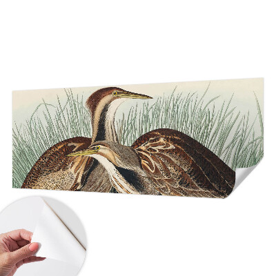 Moderne Fototapete nach Maß mit realistischen Vogelmotiven