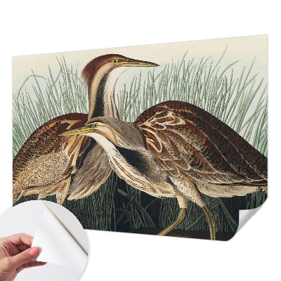 Moderne Fototapete nach Maß mit realistischen Vogelmotiven