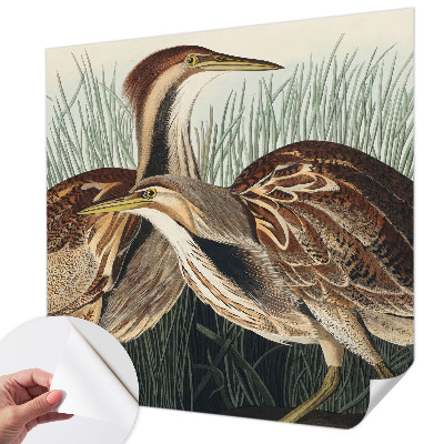 Moderne Fototapete nach Maß Realistische Vögel