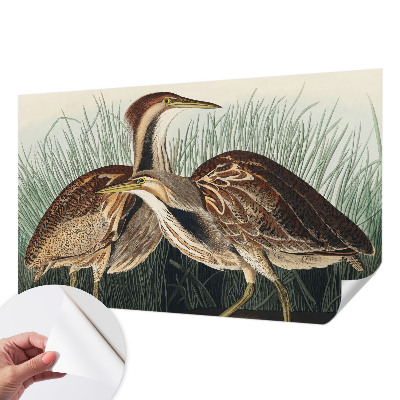 Moderne Fototapete nach Maß mit realistischen Vogelmotiven