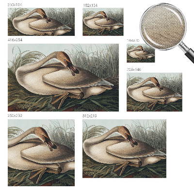 Motivtapete nach Maß Natürlicher Vogel