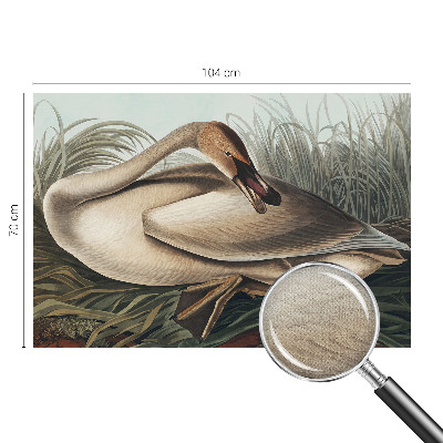 Motivtapete nach Maß Natürlicher Vogel