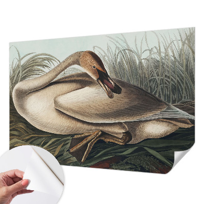 Motivtapete nach Maß Natürlicher Vogel