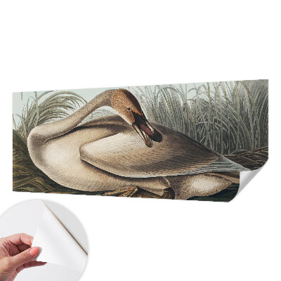 Motivtapete nach Maß Natürlicher Vogel