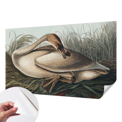 Motivtapete nach Maß Natürlicher Vogel