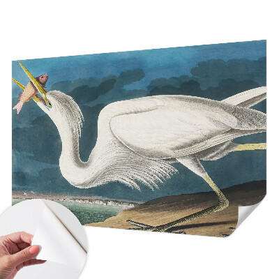 97D-Fototapete z mit einem Vogel, der einen Fisch hält