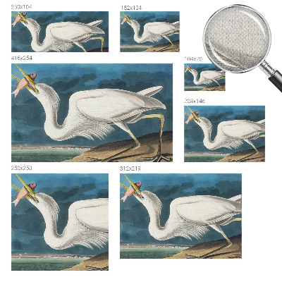 97D-Fototapete Vogel mit Fisch