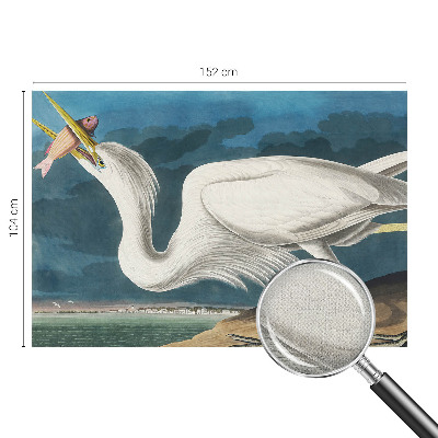 97D-Fototapete Vogel mit Fisch