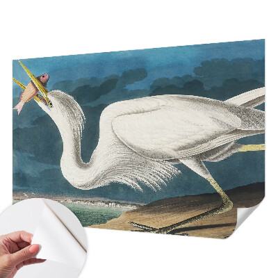 97D-Fototapete z mit einem Vogel, der einen Fisch hält