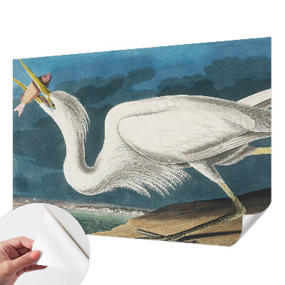 97D-Fototapete z mit einem Vogel, der einen Fisch hält