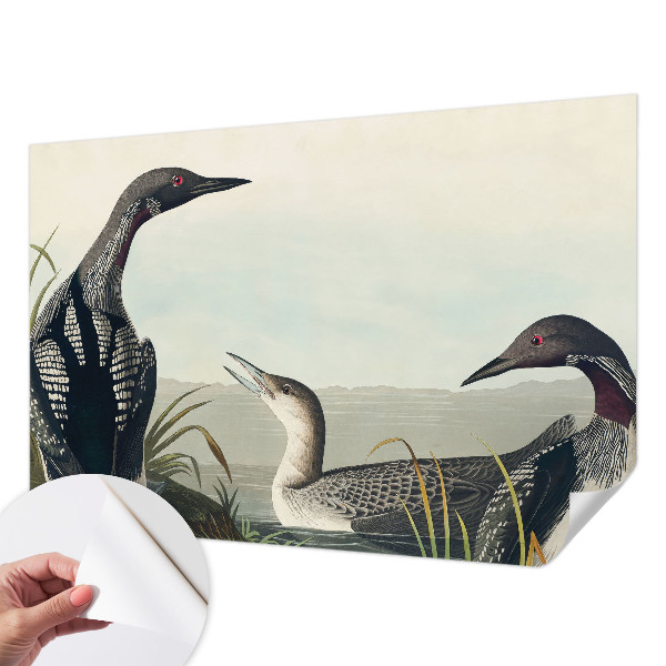 Hochwertige Bildtapete Vögel über dem Wasser