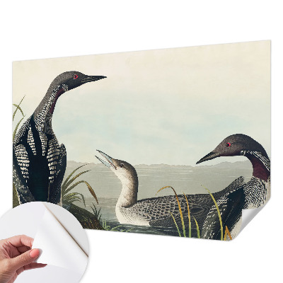 Hochwertige Bildtapete Vögel über dem Wasser