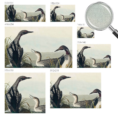 Hochwertige Bildtapete Vögel über dem Wasser