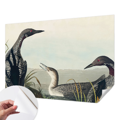 Hochwertige Bildtapete Vögel über dem Wasser