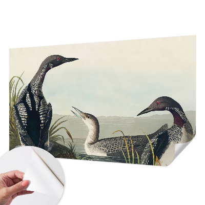 Hochwertige Bildtapete Vögel über dem Wasser