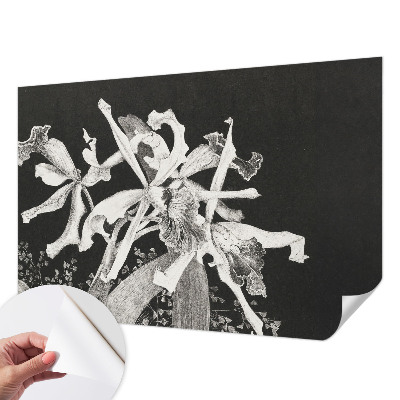 Vintage Tapete mit einer Orchideenillustration