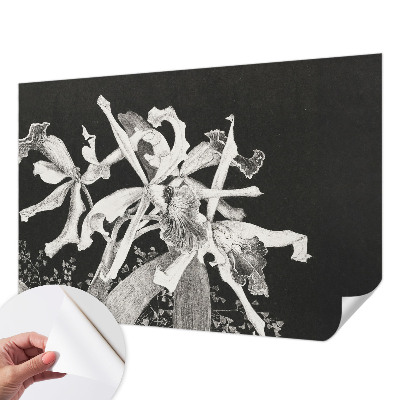 Vintage tapete Orchideenillustration