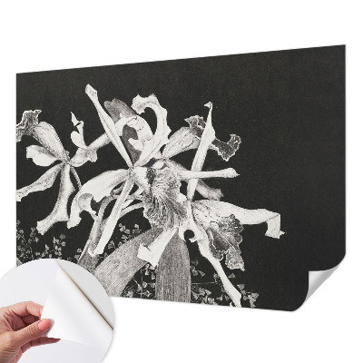 Vintage tapete Orchideenillustration