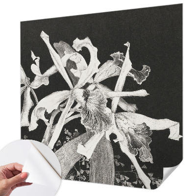 Vintage tapete Orchideenillustration