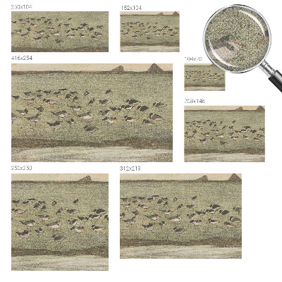 Fototapete nach Maß Vogelfrieden