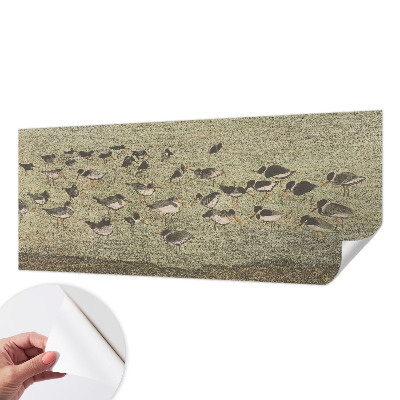 Fototapete nach Maß mit dem Motiv „Vogelfrieden“