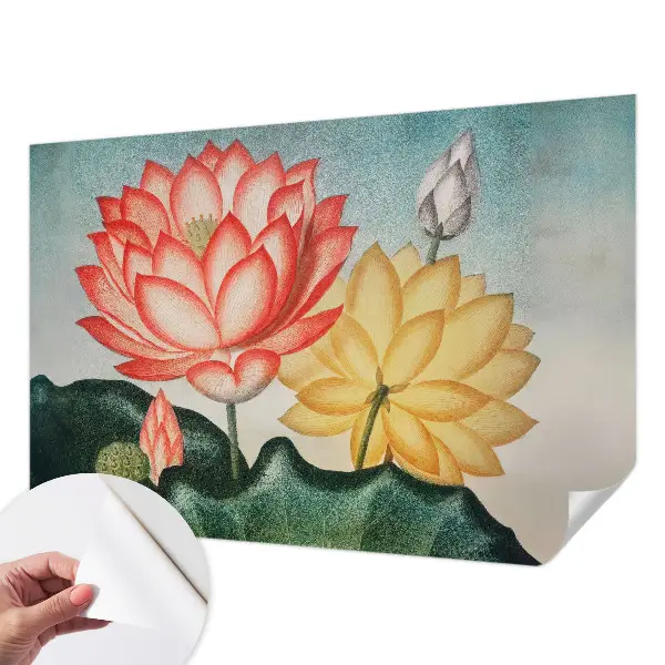 Selbstklebende Fototapete mit Motiv aus Lotusblumen