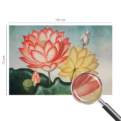 Selbstklebende Fototapete mit Motiv aus Lotusblumen