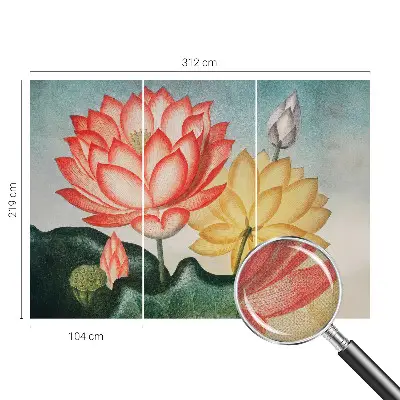 Selbstklebende Fototapete mit Motiv aus Lotusblumen