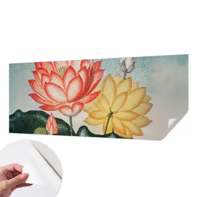 Selbstklebende Fototapete mit Motiv aus Lotusblumen
