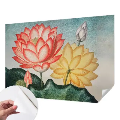 Selbstklebende Fototapete mit Motiv aus Lotusblumen