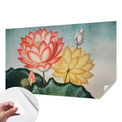 Selbstklebende Fototapete mit Motiv aus Lotusblumen