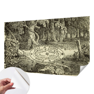 Selbstklebende Fototapete fürs Wohnzimmer Magischer Kreis