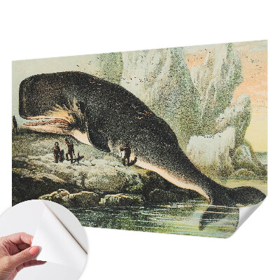 Selbstklebende Fototapete mit Motiv ‚Meeresgigantismus‘