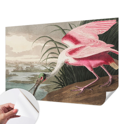 Fototapete in 3D-Optik mit exotischem Vogelmotiv
