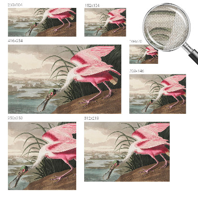 Fototapete in 3D-Optik mit exotischem Vogelmotiv