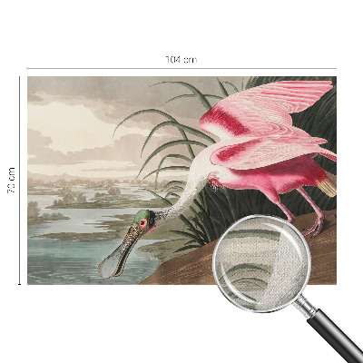 Fototapete in 3D-Optik Exotischer Vogel