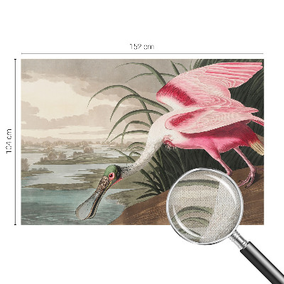 Fototapete in 3D-Optik Exotischer Vogel